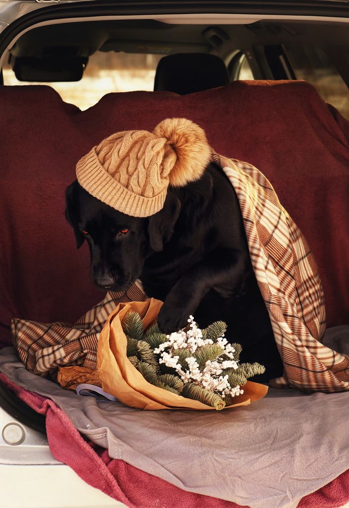 Photograph by YANA SHABANOVA