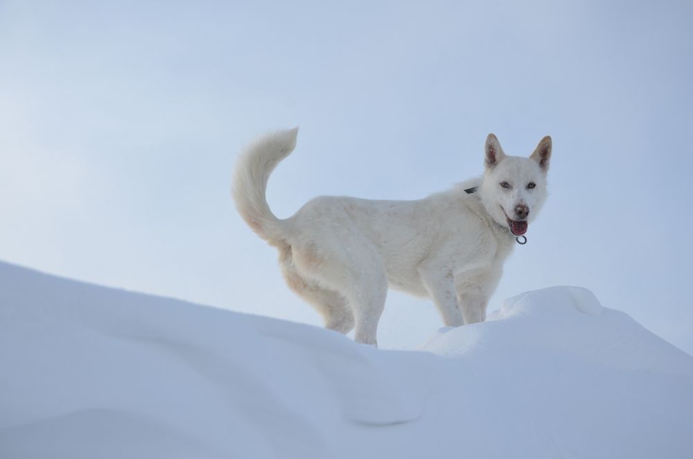 Photograph by Людмила Воропаева