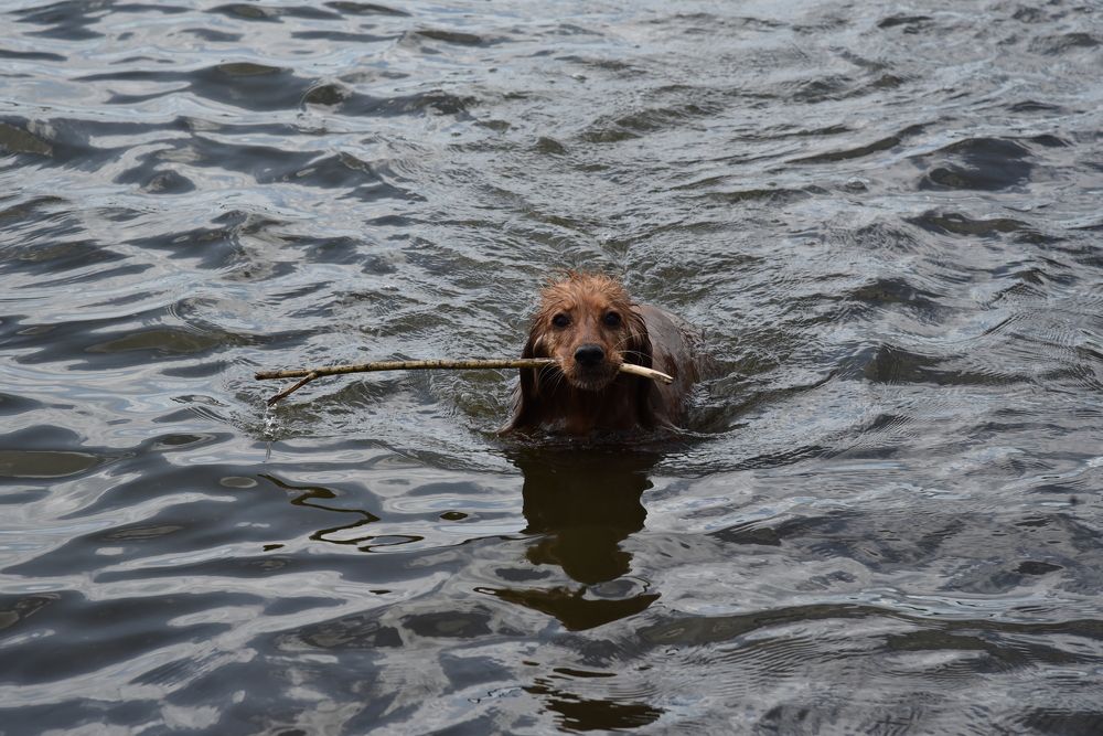 Photograph by Людмила Воропаева