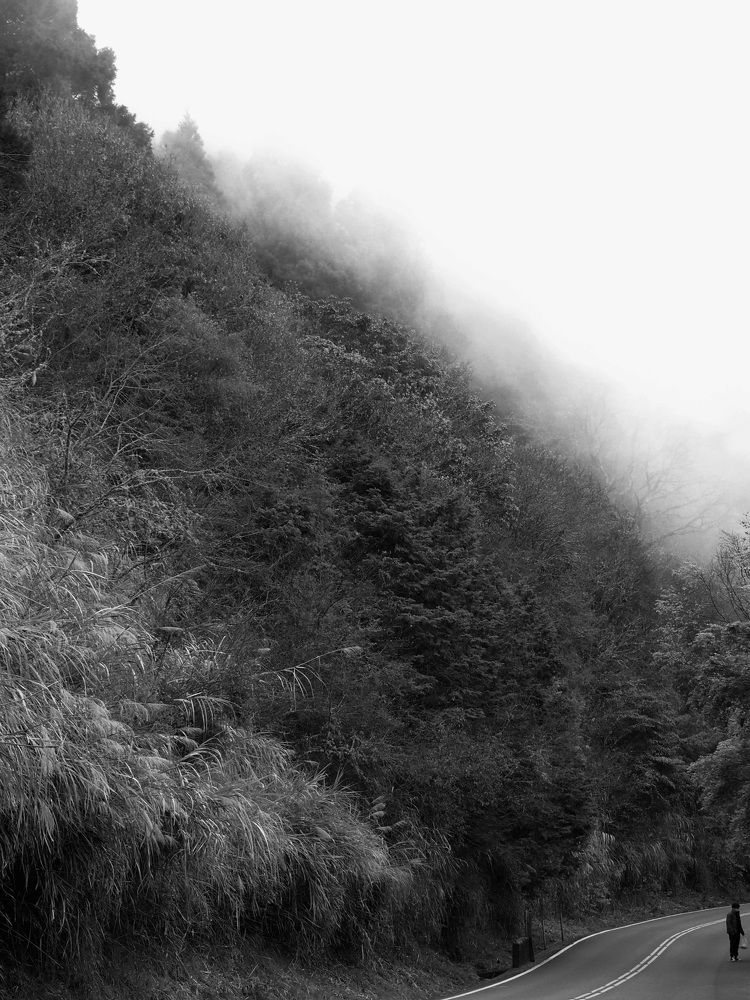 Photograph by WEONBAE PARK