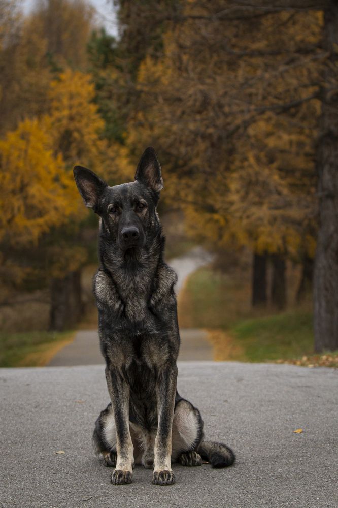 Photograph by Эльнара Исаева