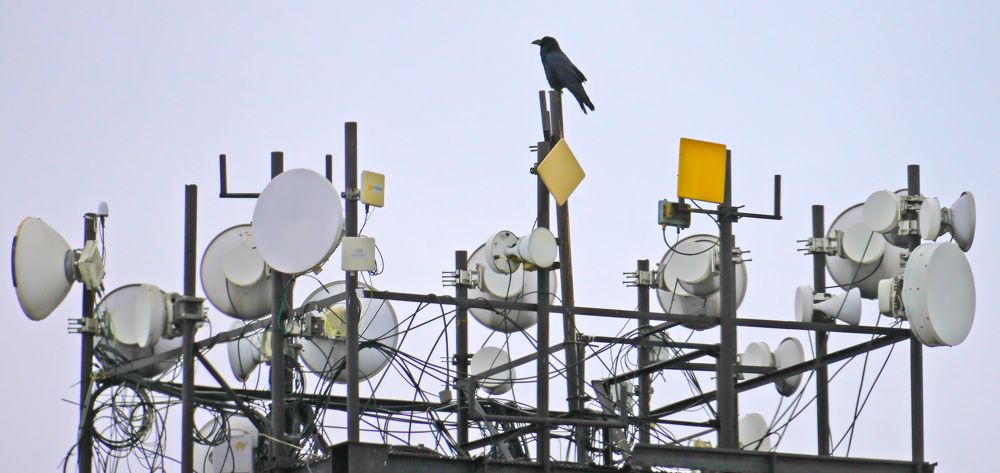 Photograph by Михаил Трусов