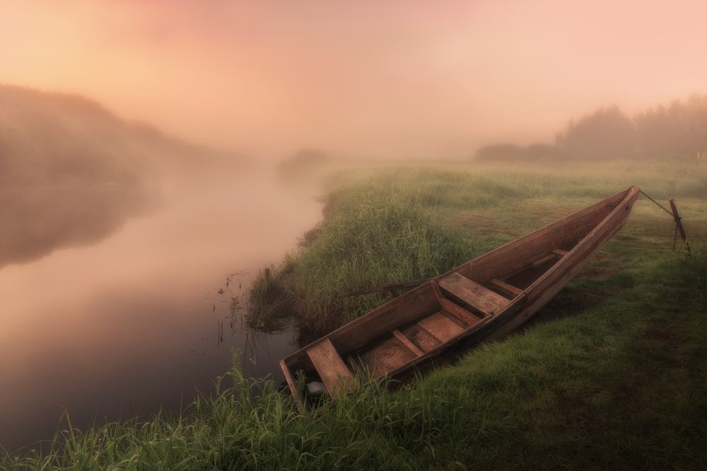 Photograph by Гусева Елена