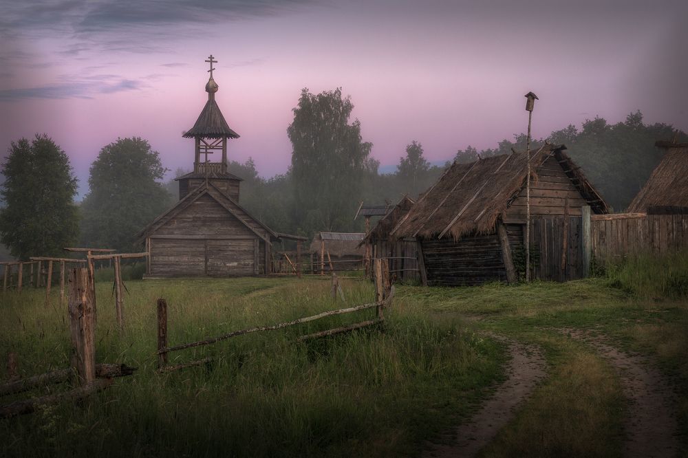 Фотография автора Елена Гусева