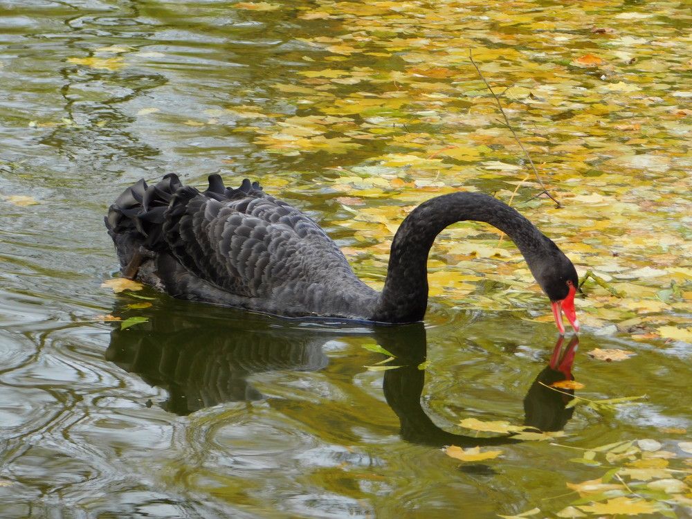 Photograph by Оксана Демидова