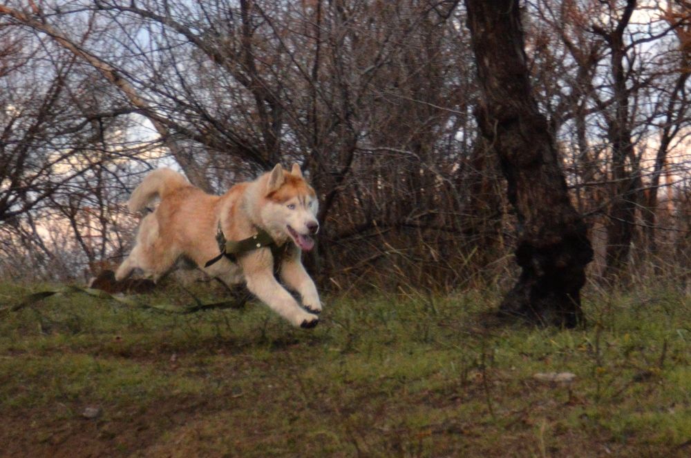 Photograph by Наталья Назаренко
