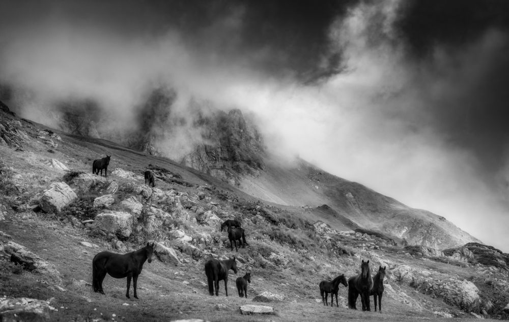 Photograph by Alexander Ornatskiy