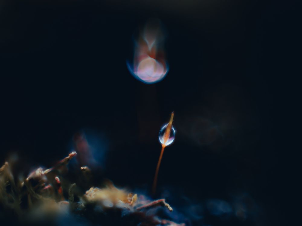 Photograph by Дмитрий Давидов