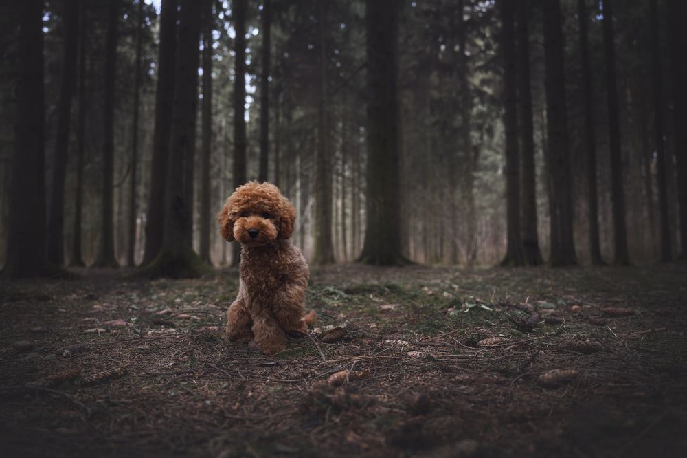 Photograph by Анастасия Жучкова