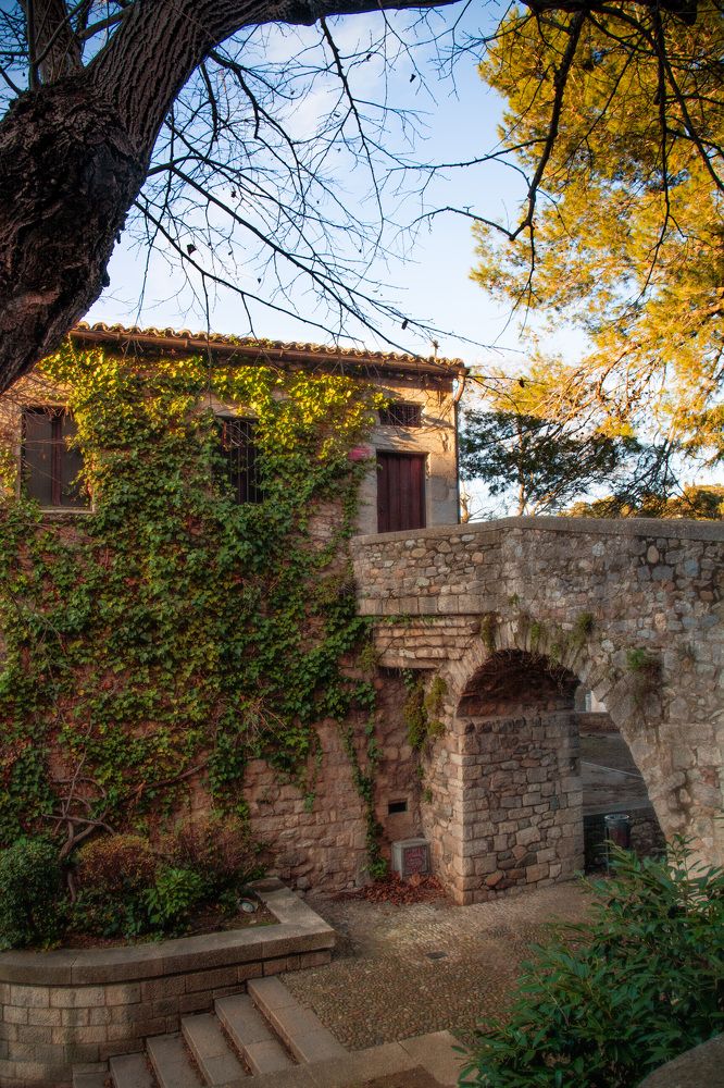 Фотография автора Семён Полторак