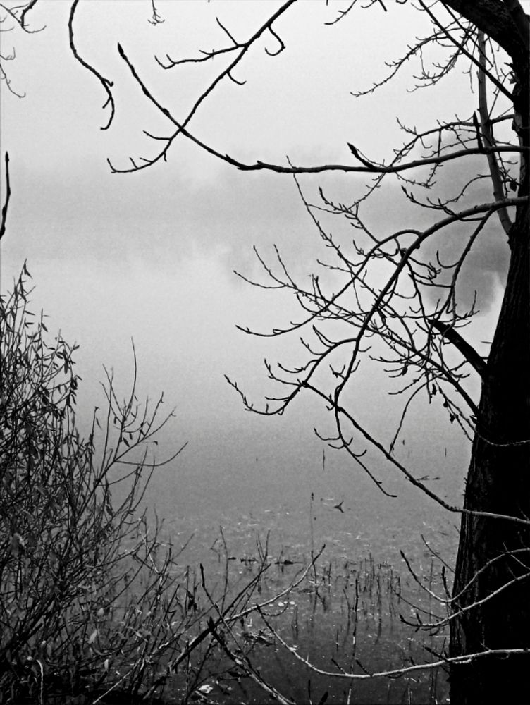 Фотография автора Евгения Кириллова