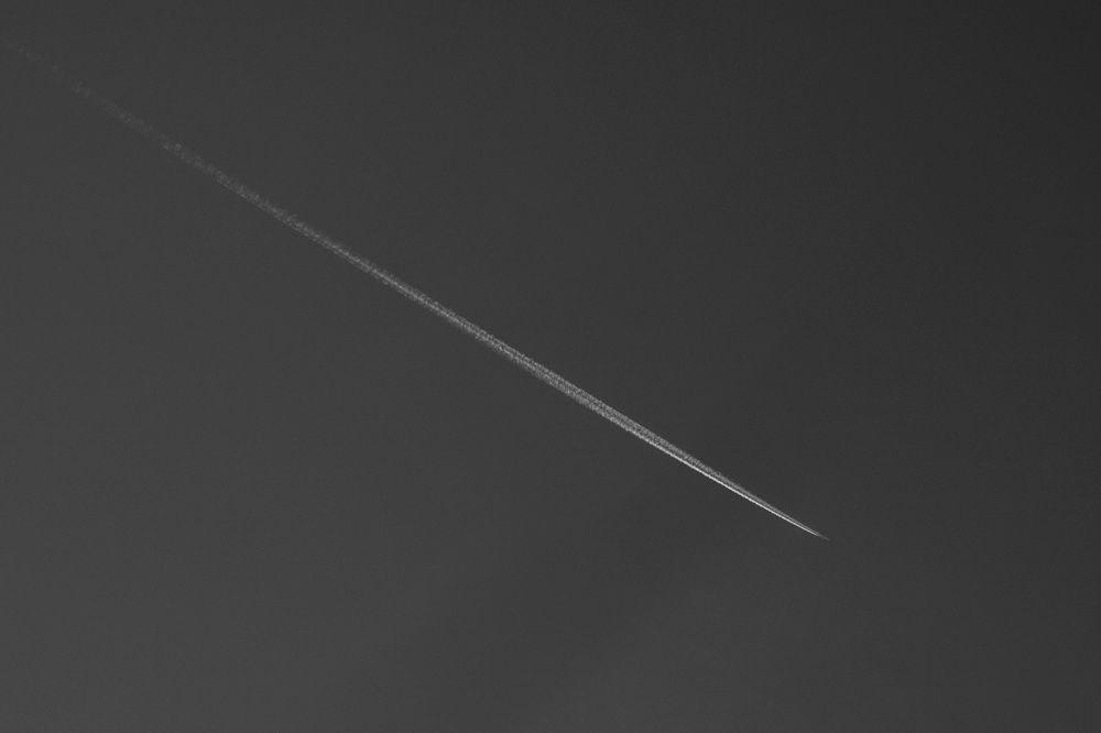 Photograph by Александр Шалагин