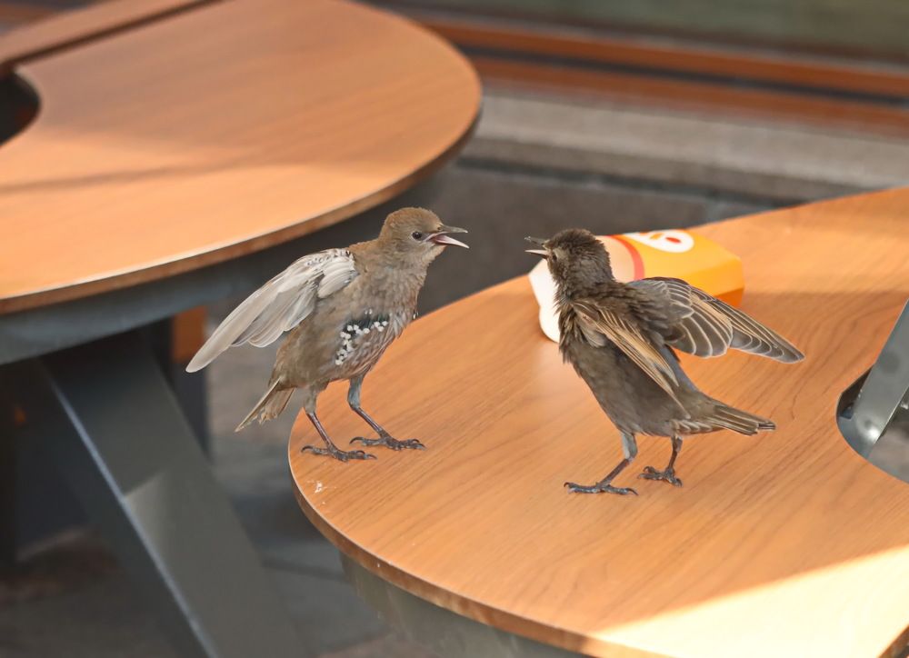 Photograph by Сергей Маслов