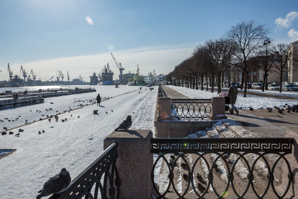 Photograph by Саиди Светлана