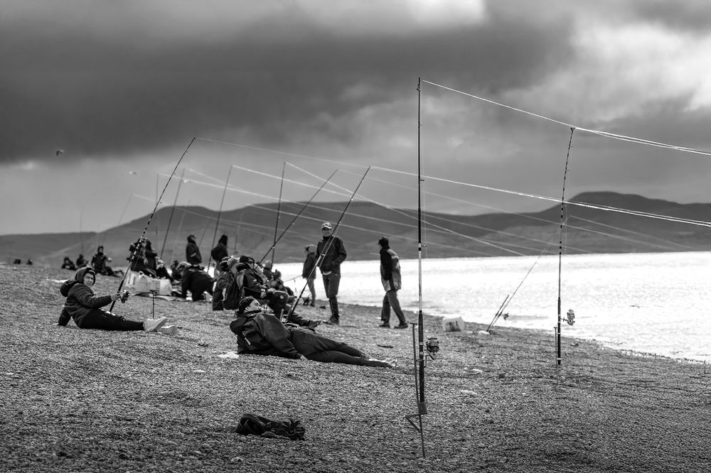 Фотография автора Edgardo Cardenas