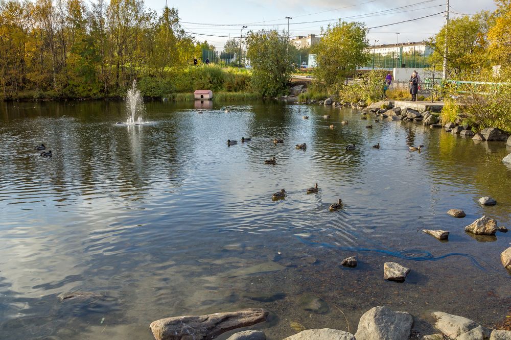 Photograph by Саиди Светлана