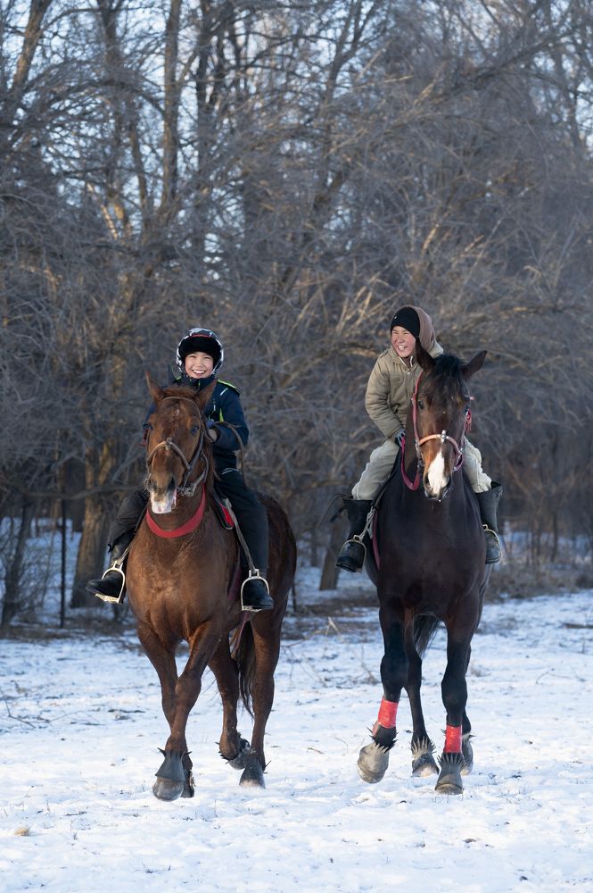 Фотография автора Kimia Shad