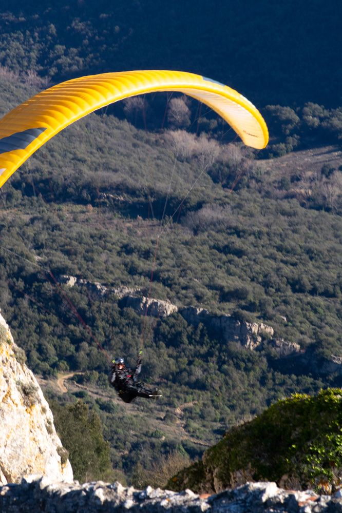 Фотография автора Семён Полторак