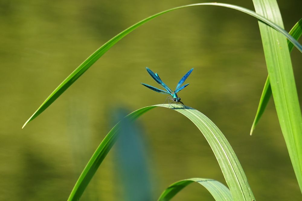 Фотография автора Николай Бологов