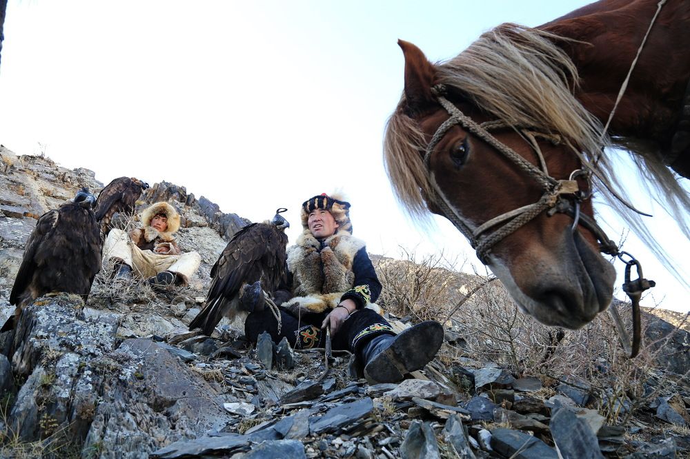 Фотография автора Mark Levitin