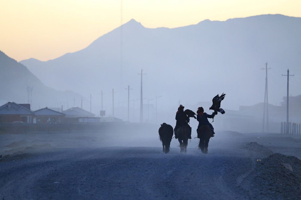 Фотография автора Mark Levitin