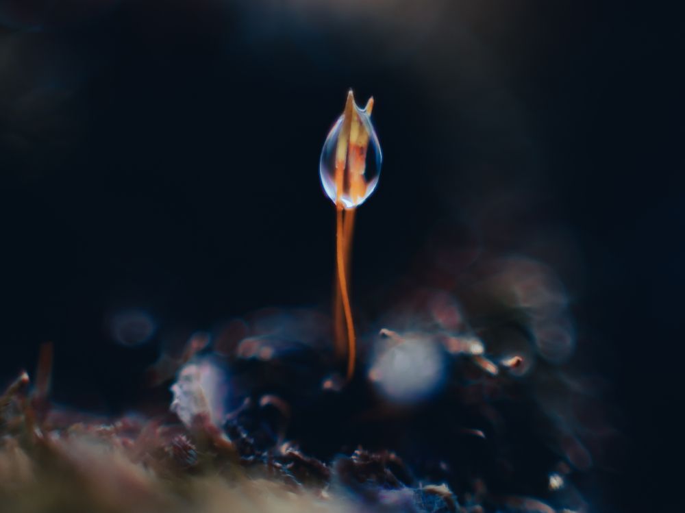 Photograph by Дмитрий Давидов