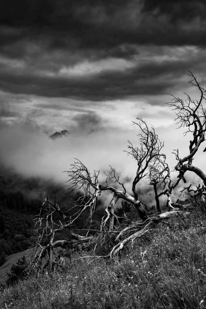 Photograph by Alexander Ornatskiy