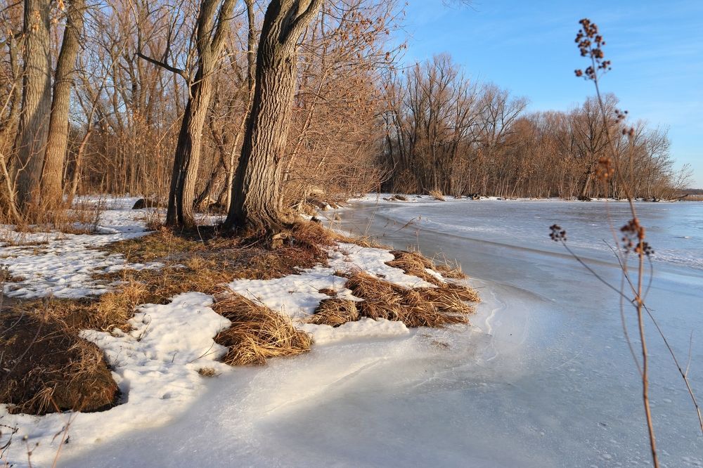 Photograph by Elena Bogomolova