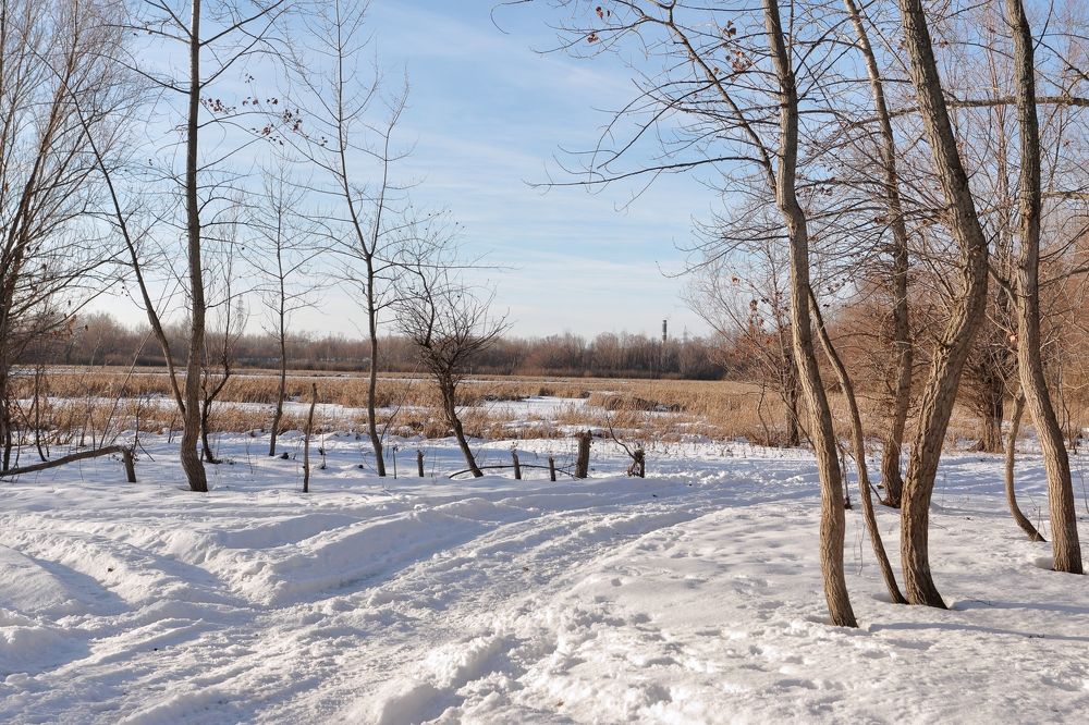 Photograph by Elena Bogomolova