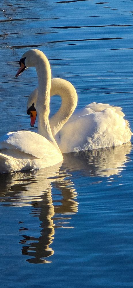 Фотография автора Нина Зинченко