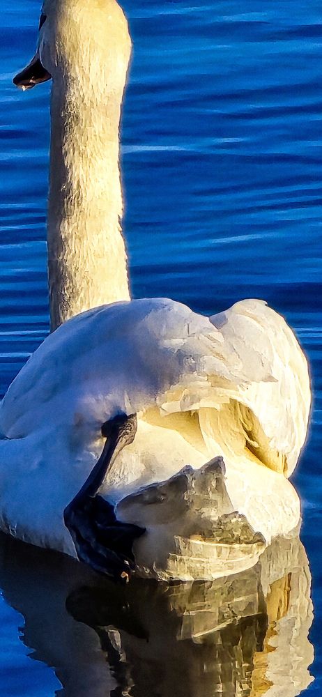 Фотография автора Нина Зинченко