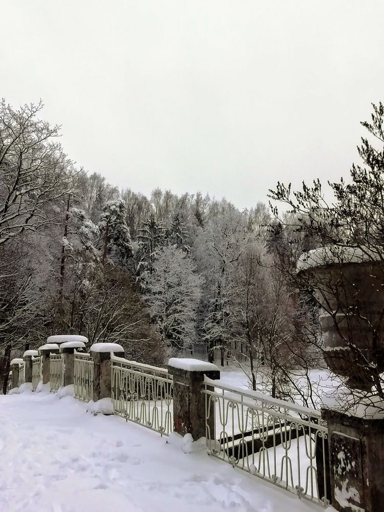 Photograph by Татьяна Вячеславовна