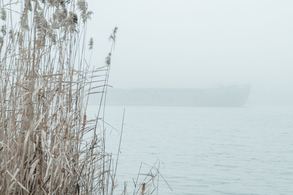 Photograph by Роман Тютин