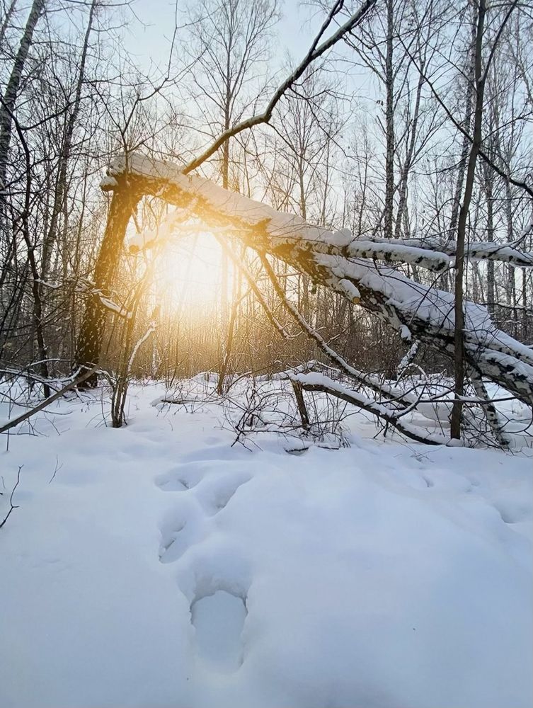 Фотография автора Арина Калинина
