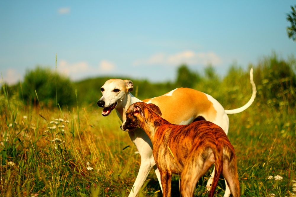 Photograph by Леонид Уральский