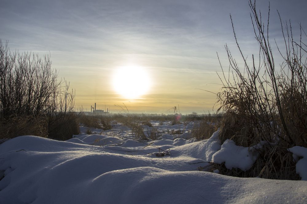Фотография автора Андрей Рогов