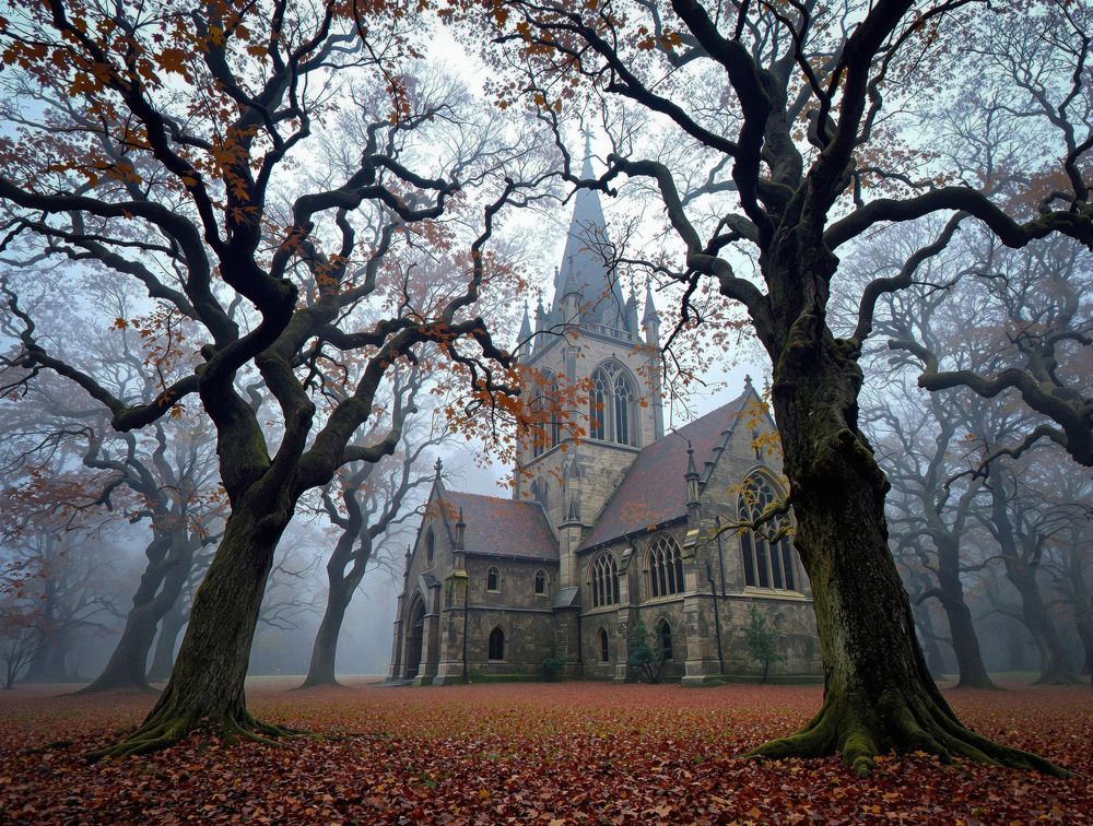 Photograph by Андрей Рябинин