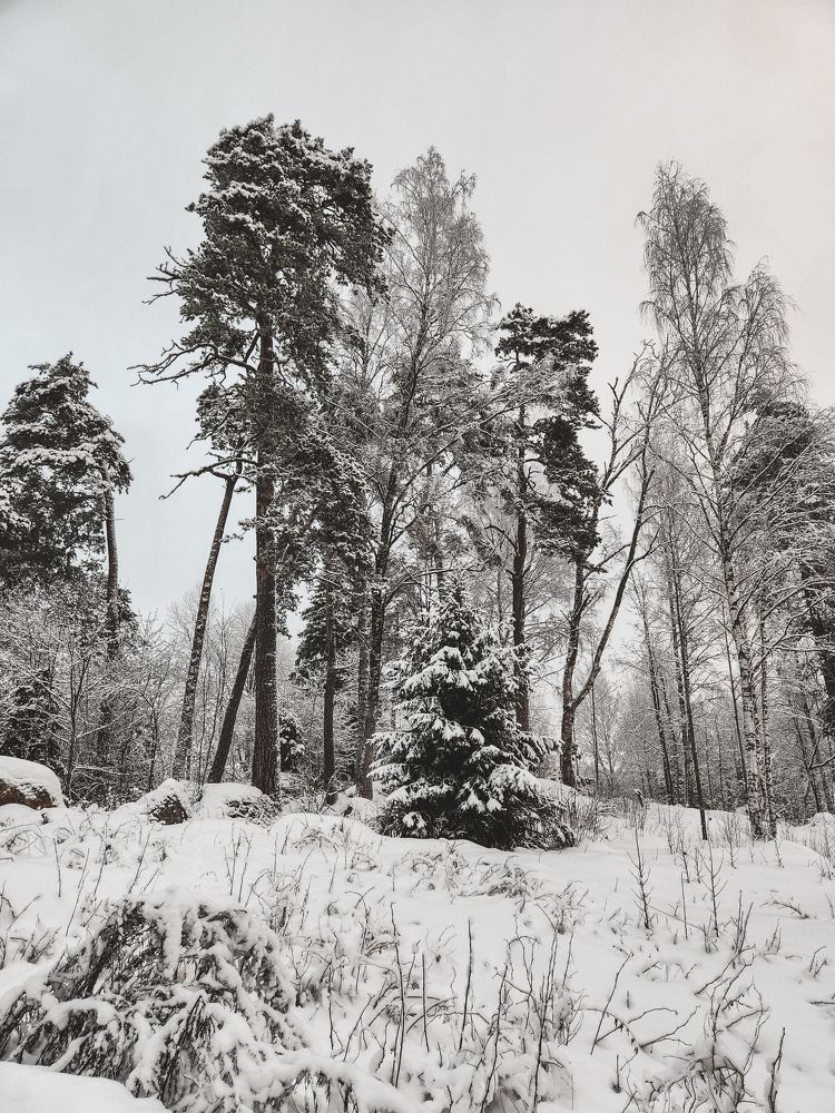 Photograph by Inna Iudina