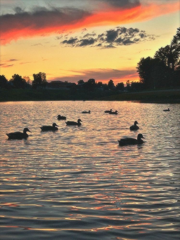 Photograph by Yulia Kotova