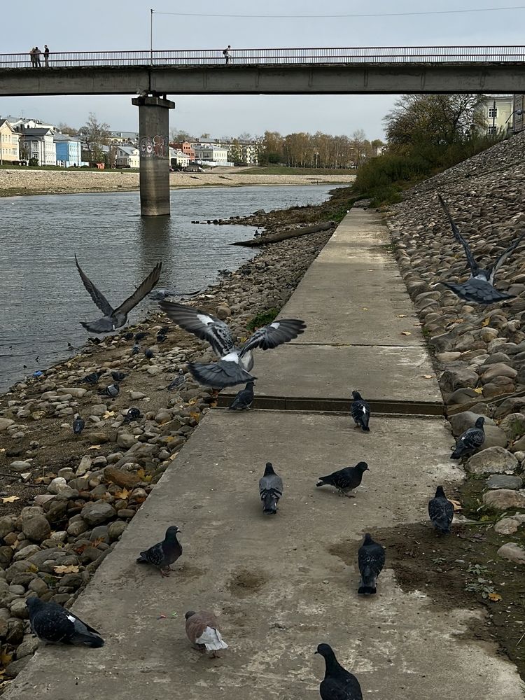 Photograph by Yulia Kotova