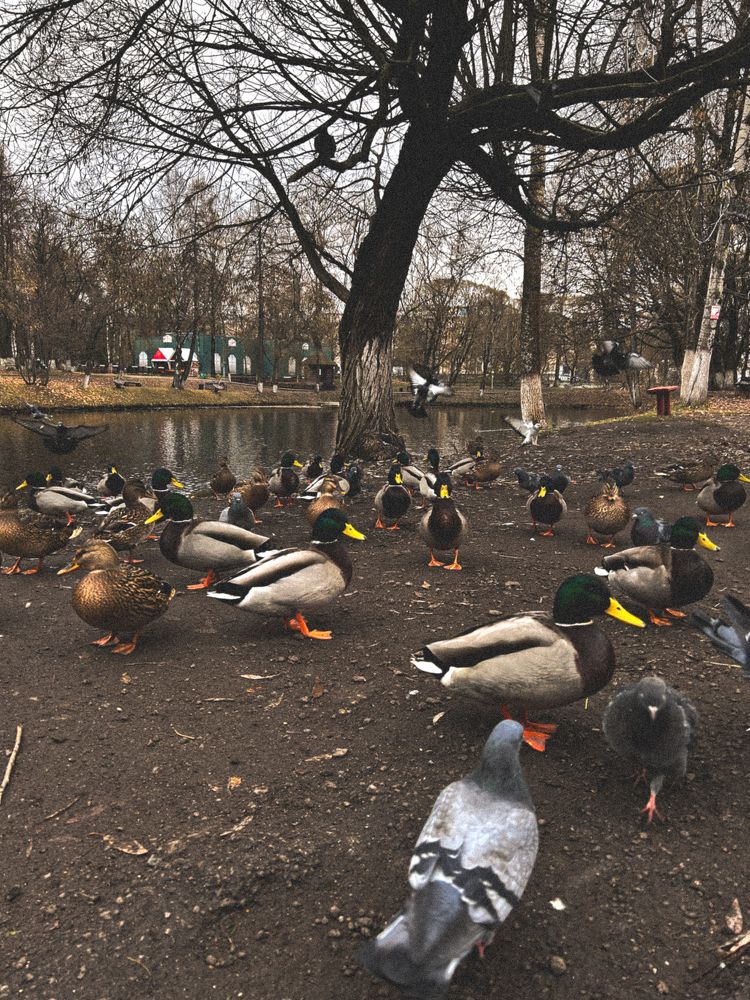 Photograph by Yulia Kotova