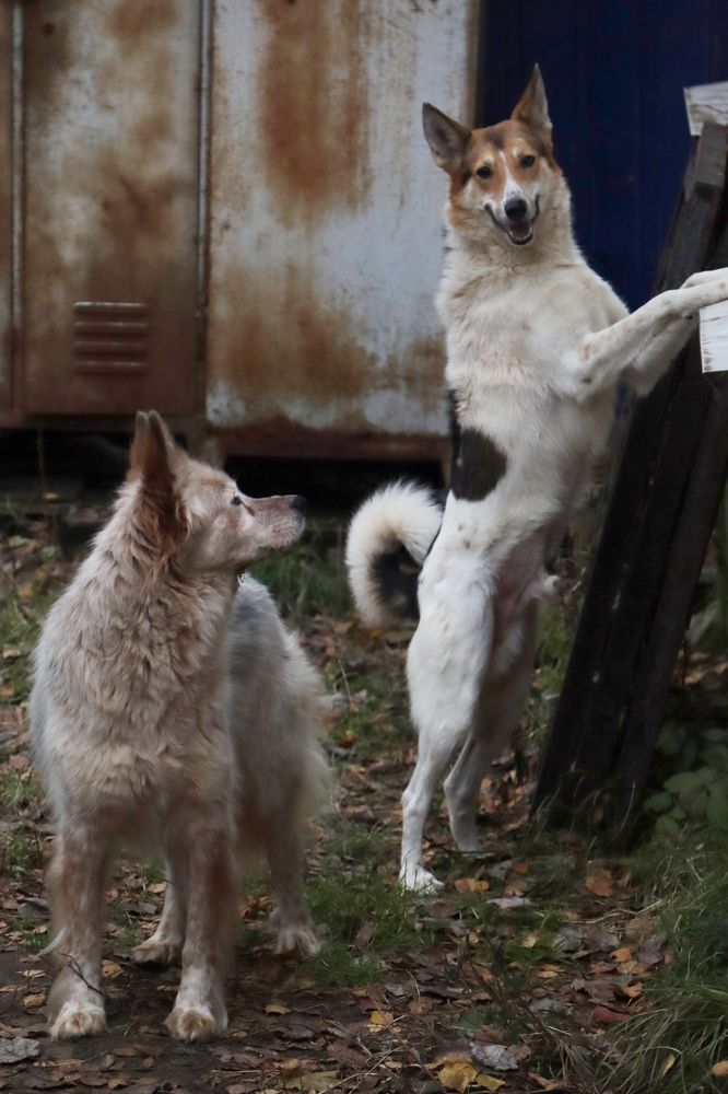 Photograph by Лолита Богачева