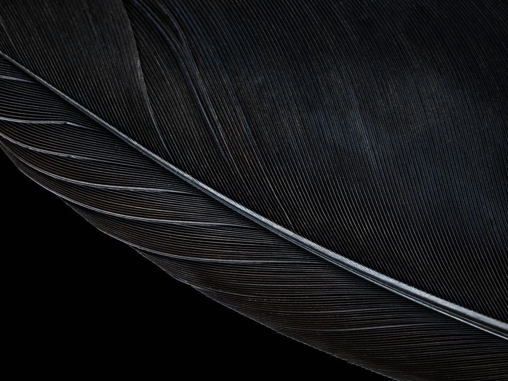 Photograph by Dar Veter