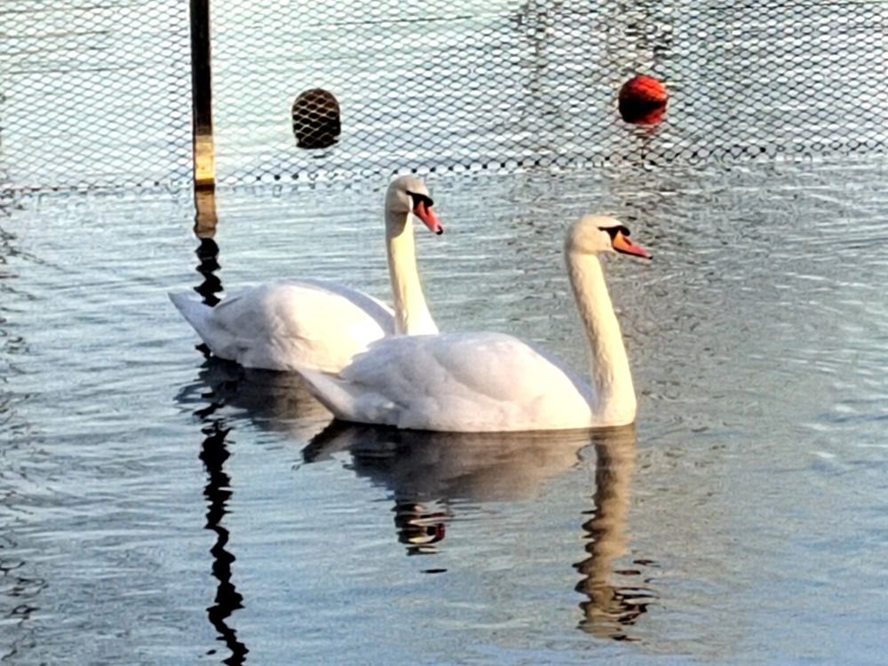 Photograph by Куделенко Оксана