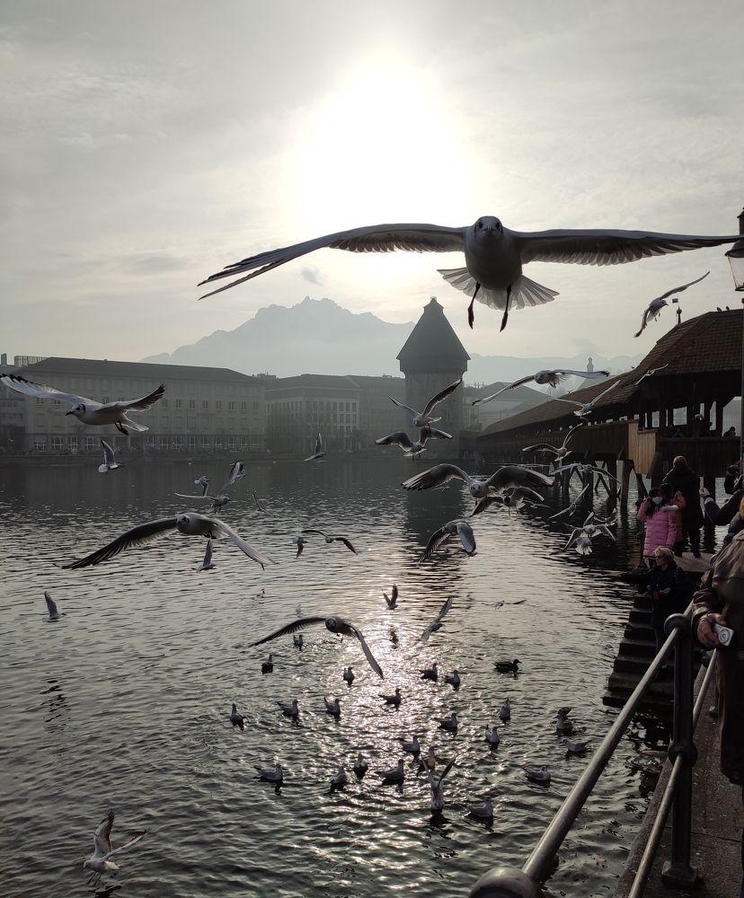 Photograph by Оксана Радзиевская