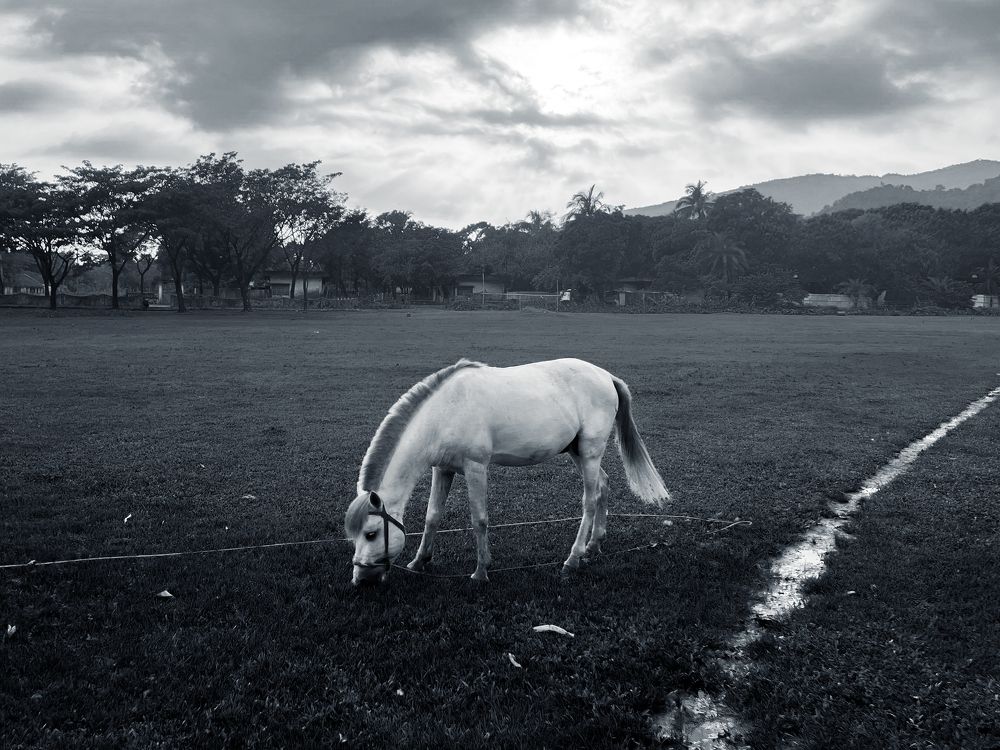 Photograph by MD RASED ROKON