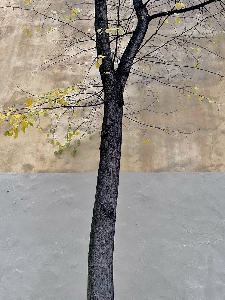 Photograph by Лена Суворова