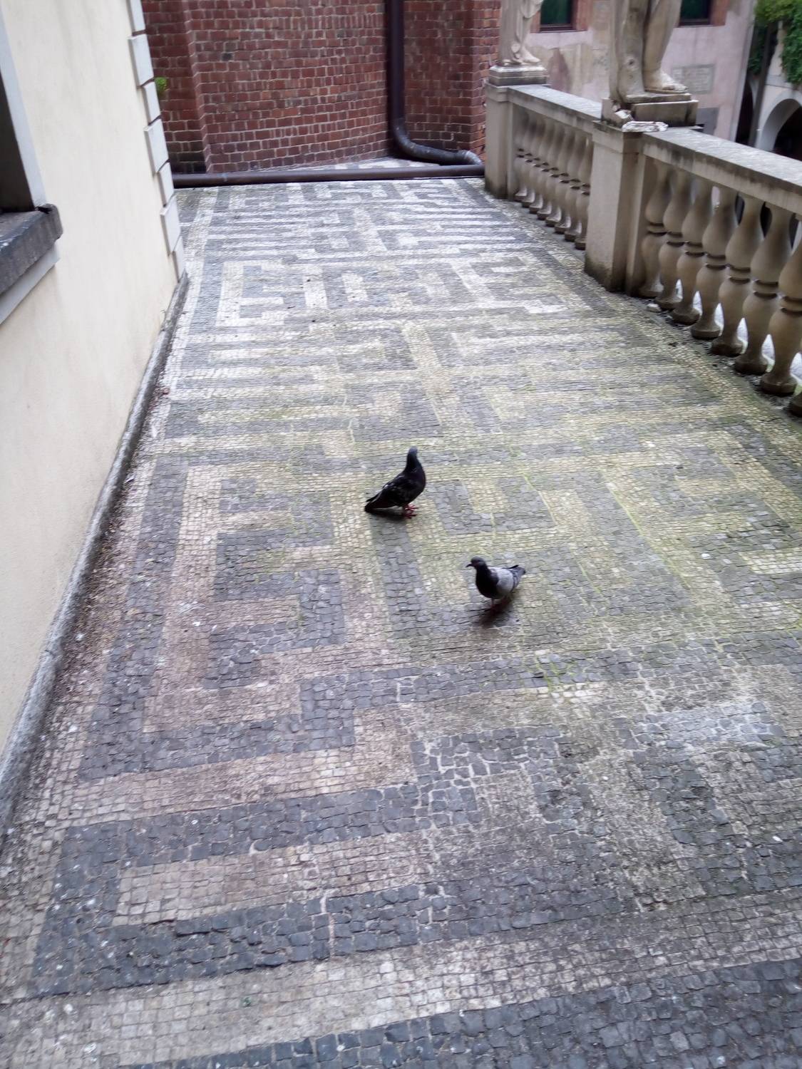 Photo #11770444