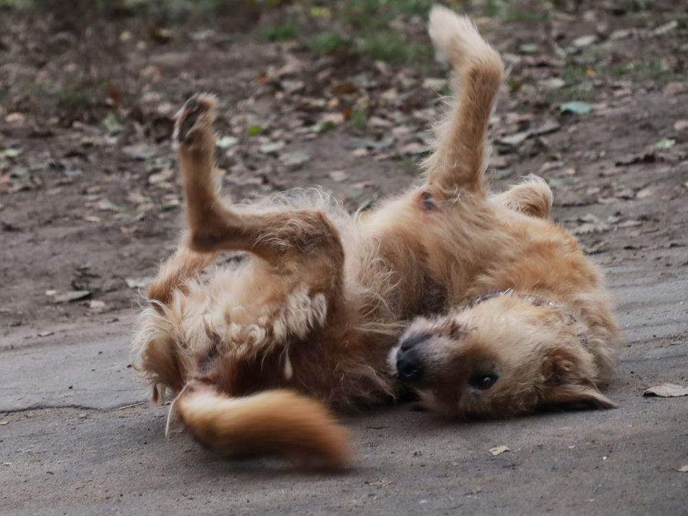 Photograph by Лолита Богачева