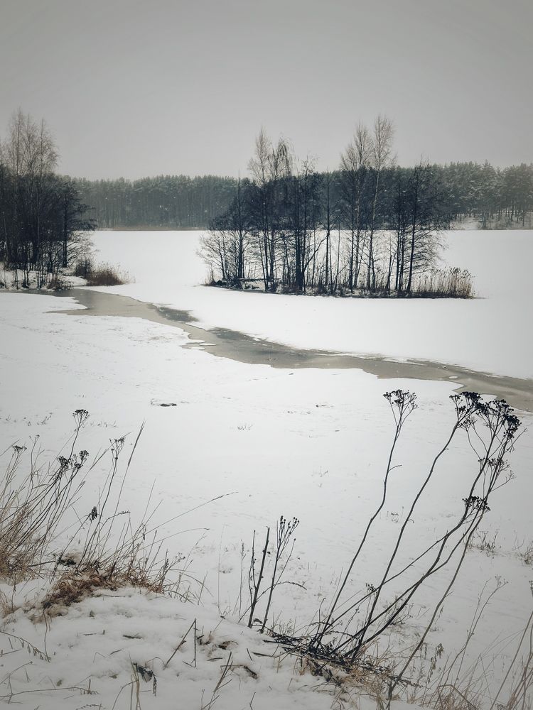 Фотография автора Alina Efimova